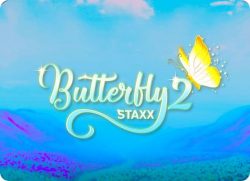 Butterfly staxx 2